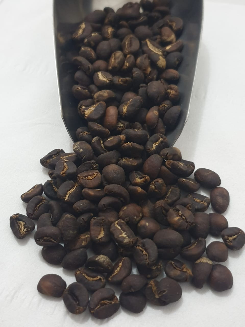 コーヒー葉